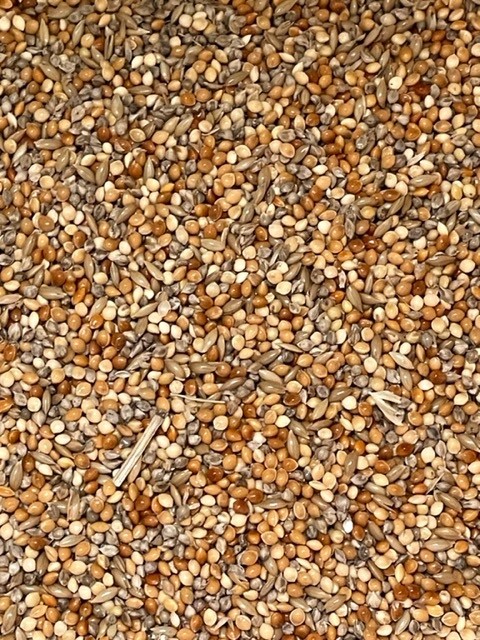 5kg Finch Seed Mix - Click Image to Close